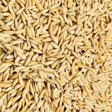Rice Seed